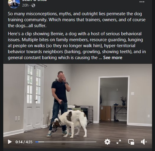 A holding the leash of  a terrified dog wearing a muzzle has his hand over his face as if he is realizing he's in over head.  